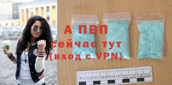 молекула духа Каменногорск
